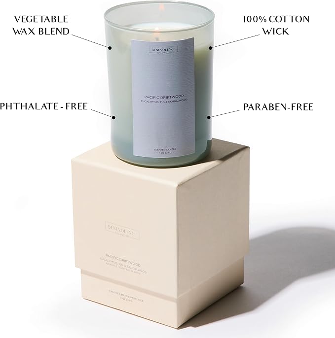 Eucalyptus Fig & Sandalwood Scented Candle | 11oz, 60 Hour Burn | Natural Soy Wax, Cotton Wick | Holiday Candles | Christmas Scented Candles for Home | Sun-Kissed Collection - Pacific Driftwood
