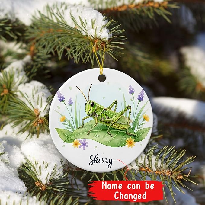 Grasshopper with Nature Ornament, Grasshopper Ceramic Ornament with Customized Name, Grasshoppers Lover Gifts, Grasshoppers Christmas Ornaments, Personalized Insect Lover Keepsake Decoration