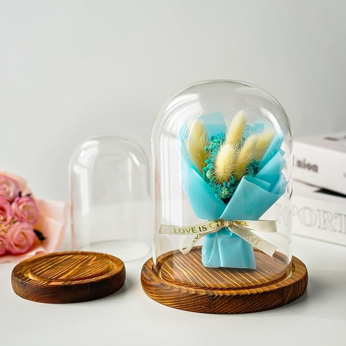 ZEERSHEE 2pcs Glass Display Dome Cloche with Wooden Base for Home Wedding Party Decor (3.9 x 5.1in/5.7 x 6.9in)