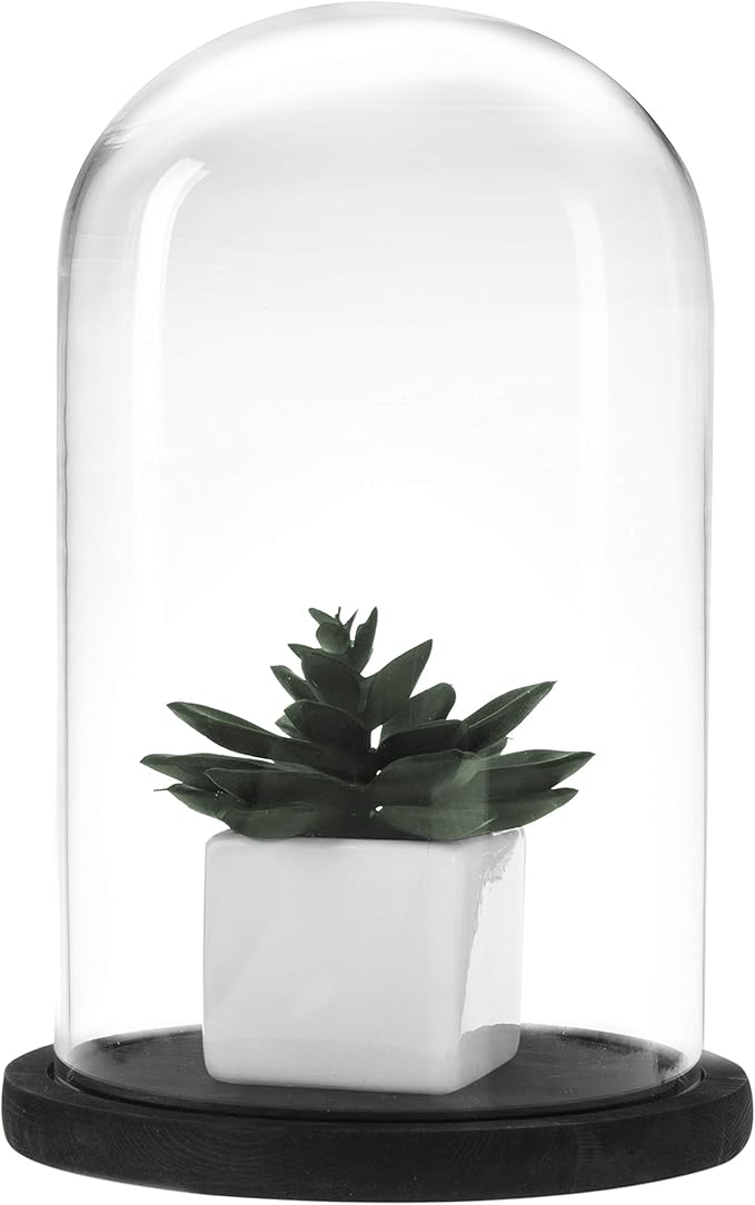 MyGift The Bell Jar Glass Cloche with Black Wood Base, 10 Inch Tall Clear Decorative Glass Dome Display for Plants, Curios, Keepsakes, Heirlooms