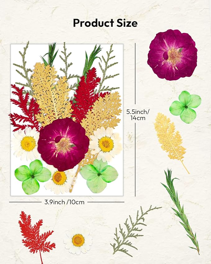 Dried Flowers, Resiners 6 Pack Pressed Flowers for Christmas Craft 100% Real Natural Dried Flowers Kits for Christmas DIY Making Crafts Resin Soap Candle Making Jewelry Scrapbook Supplies Card