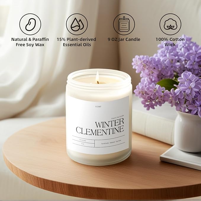 Winter Clementine Scented Candles for Home, 9oz Natural Soy Wax Aromatherapy Organic Citrus Candle for Stress Relief, Long Burning & Lasting Jar Candle Gifts for Christmas, Winter, Holiday