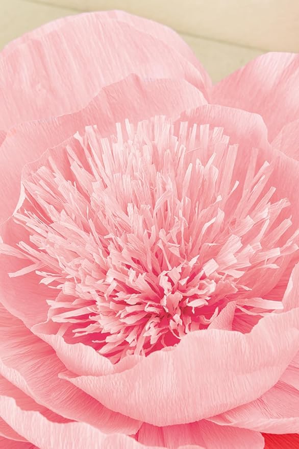 Crepe Paper Flowers Decoration for Wall, Flowers for Wedding Flower Backdrop Decor,Baby Shower,Birthday Party,Photo Backdrop,Archway Decor, Nursery Wall Decor (Rose Red+White+Pink;Set/6)