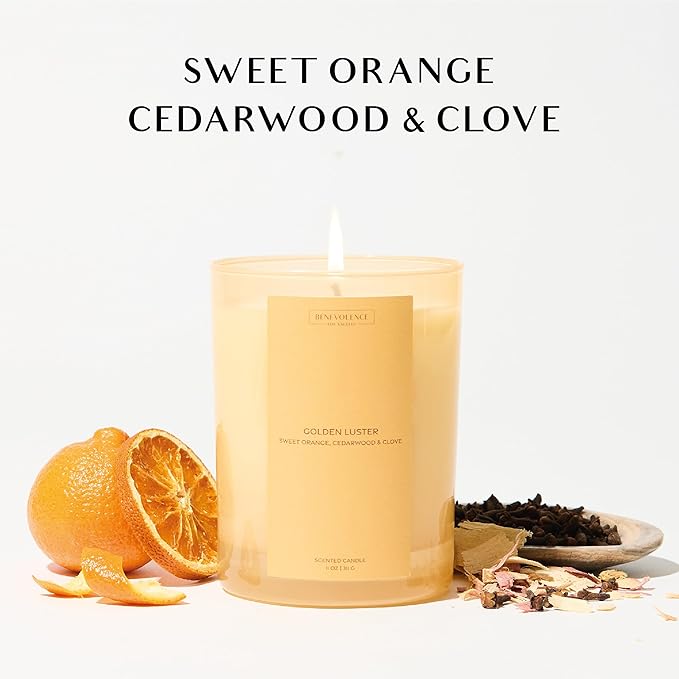 Orange, Cedarwood & Clove Scented Candle | 11oz, 60 Hour Burn | Natural Soy Wax, Cotton Wick | Fall & Holiday Candles | Christmas Scented Candles for Home | Sun-Kissed Collection - Golden Luster