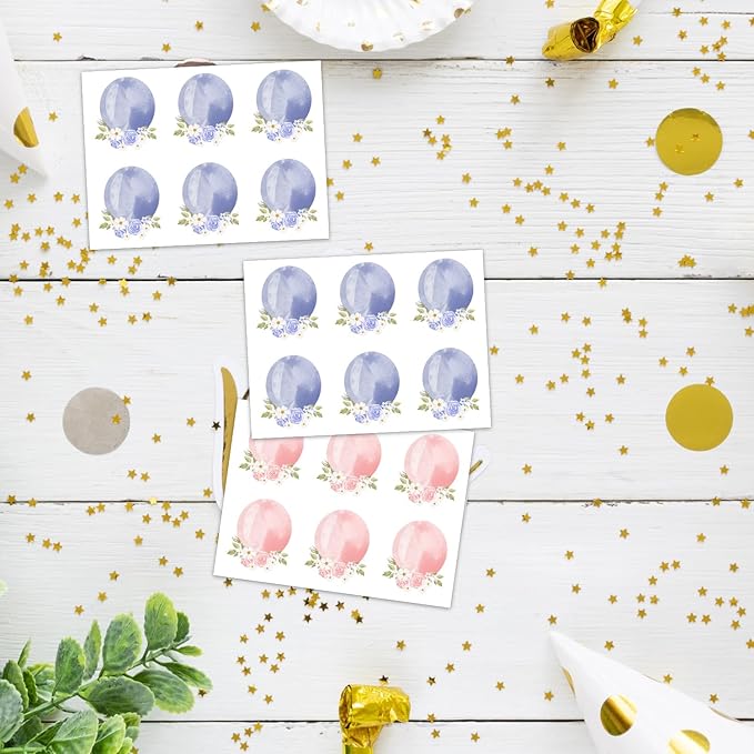 Gender Reveal Party Games, Rose Theme Baby Gender Reveal Voting Board Sign, 48 Boy Girl Voting Stickers, He or She, Baby Gender Reveal Party Decorations Games for Boy or Girl Shower
