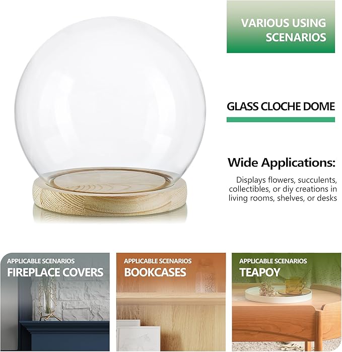 ZEERSHEE Round Glass Cloche Display Dome 6inch Decorative Glass Display Bell Jar for Plants Keepsakes Collectibles