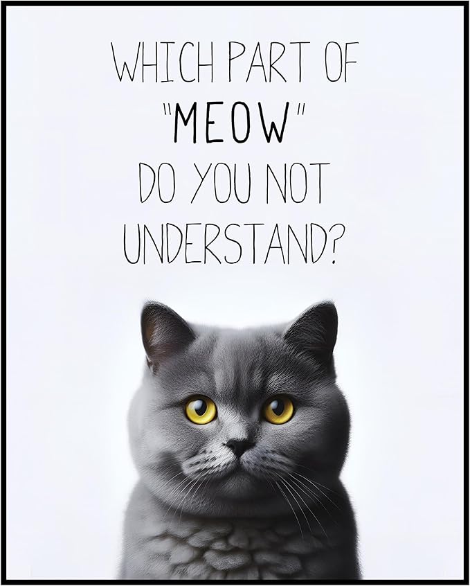 Posterizer 1 pcs - Which Part of Meow Do You Not Understand - for cat lovers - Comedy Art for Animal Lovers - 05x07 unframed wall