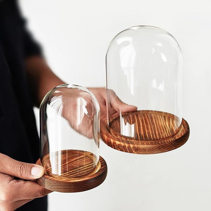 ZEERSHEE 2pcs Glass Display Dome Cloche with Wooden Base for Home Wedding Party Decor (3.9 x 5.1in/5.7 x 6.9in)