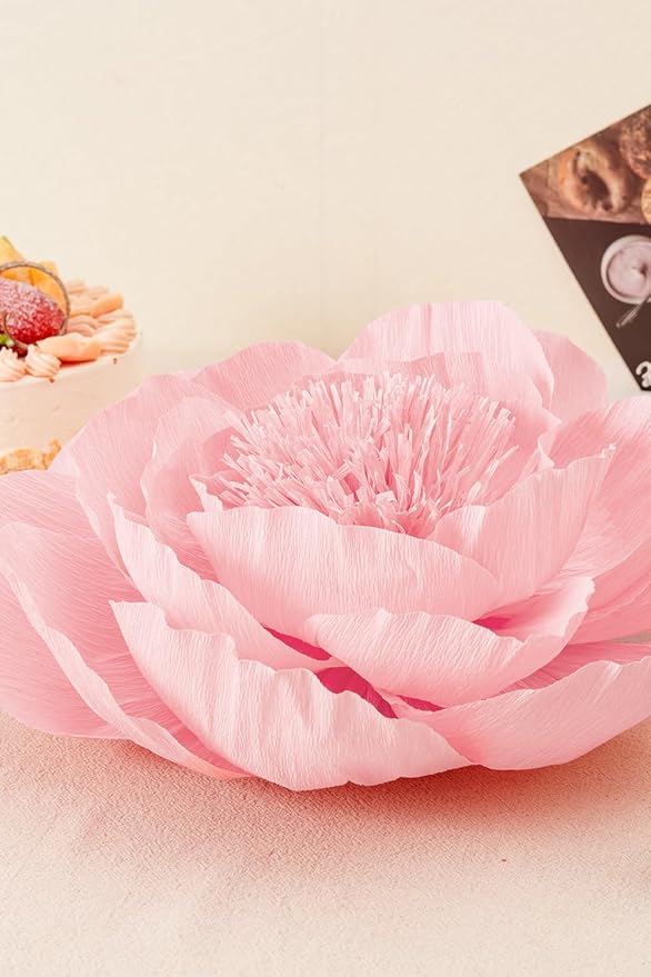 Crepe Paper Flowers Decoration for Wall, Flowers for Wedding Flower Backdrop Decor,Baby Shower,Birthday Party,Photo Backdrop,Archway Decor, Nursery Wall Decor (Rose Red+White+Pink;Set/6)