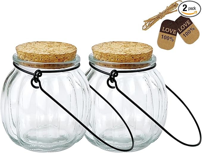 2 Pcs Decorative Glass Jars,Pumpkin Shape Bottles With Cork Stopper and Hanging Rings Wishing Bottle Hydroponic Glass Vases Decor for Home Furnishing Outdoor Party Wedding Centerpiece（Pumpkins）