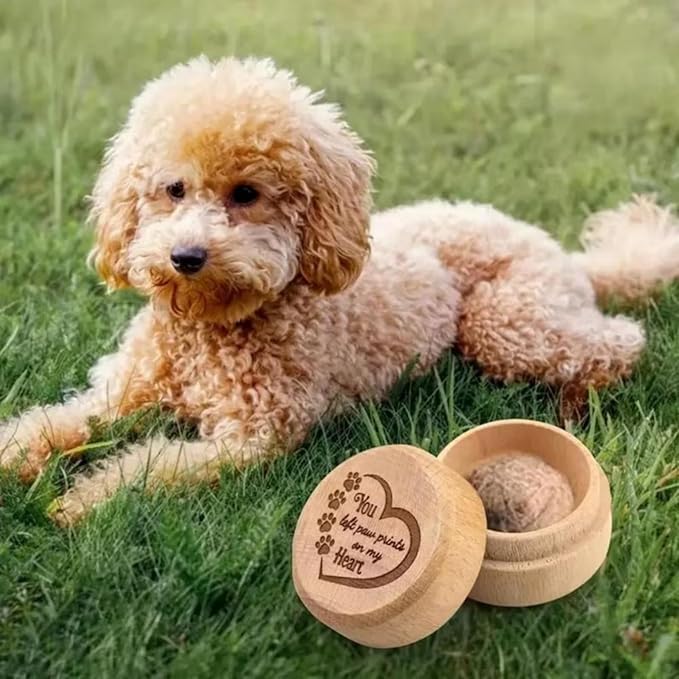 Personalized Pet Memorial Keepsake Box, Engraved Wooden Urn for Cat/Dog Ashes, Custom Name & Date Memorial Box, Sympathy Gift for Loss of Pet (Burlywood)