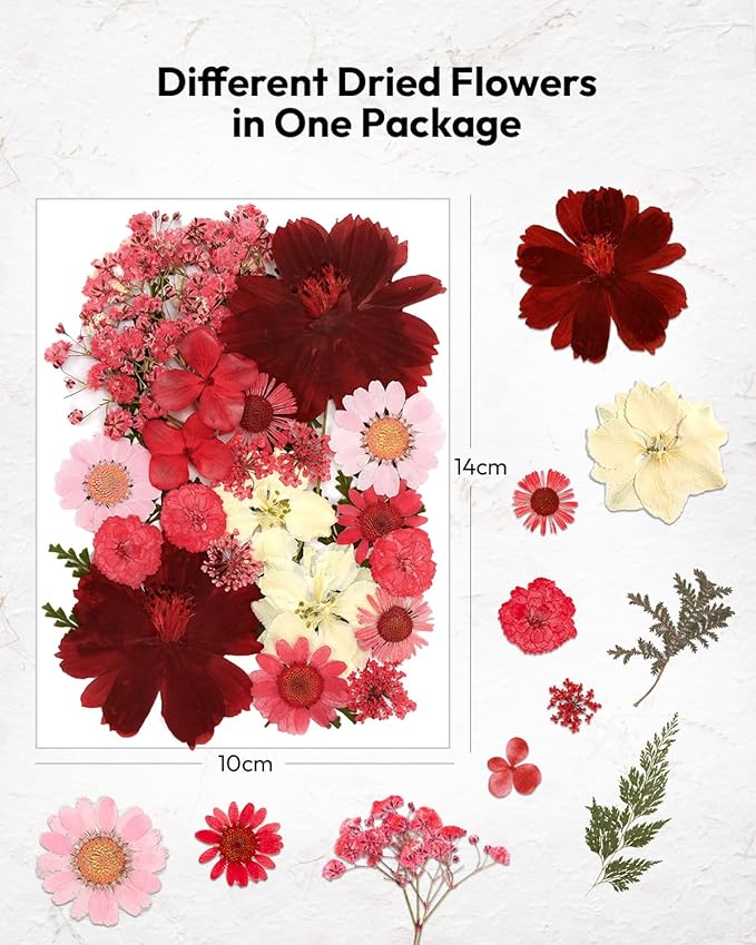 Dried Flowers, Resiners Pressed Flowers for Craft Real Natural Dried Flowers Kit for Scrapbook Supplies DIY Making Crafts Jewelry Resin Soap Candle Card Making (Cherry 174pcs)