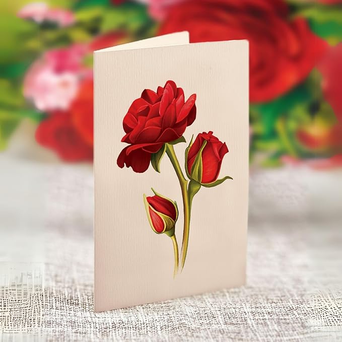 Freshcut Paper Pop Up Cards, Mini Blooming Roses, 6 Inch Mini Sized Forever Flower Bouquet 3D Popup Greeting Cards, Valentine's Day, Anniversary Card, Blank Notecard & Envelope