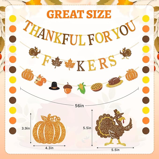 Thankful for You Banner Glitter Friendsgiving Party Decorations Happy Thanksgiving Day Indoor Decor for Home Office Mantle Fall Pre Assembled Hanging Garland Sign Turkey Pumpkin Plastic