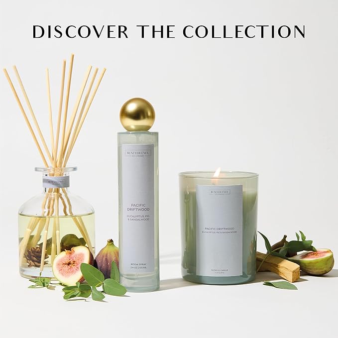 Eucalyptus Fig & Sandalwood Scented Candle | 11oz, 60 Hour Burn | Natural Soy Wax, Cotton Wick | Holiday Candles | Christmas Scented Candles for Home | Sun-Kissed Collection - Pacific Driftwood