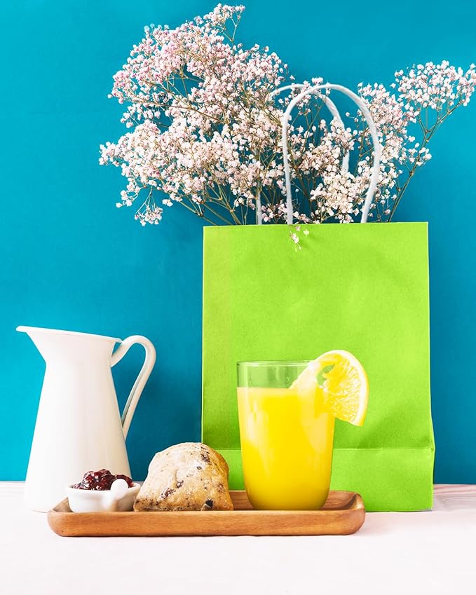 qiqee 30PCS Medium Gift Bag with Handles Bulk 11"x5"x8" Gift Bags Plum Green Bags Multiple Uses (Medium Size)