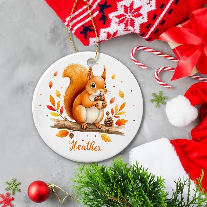 Customized Name Squirrel Christmas Holiday Ornament, Squirrels Keepsake Gift for Boy Girl Kids Children, Baby Squirrel Ornament Xmas Tree, Personalized Wild Animal Ceramic Ornaments, Squirrels Decor