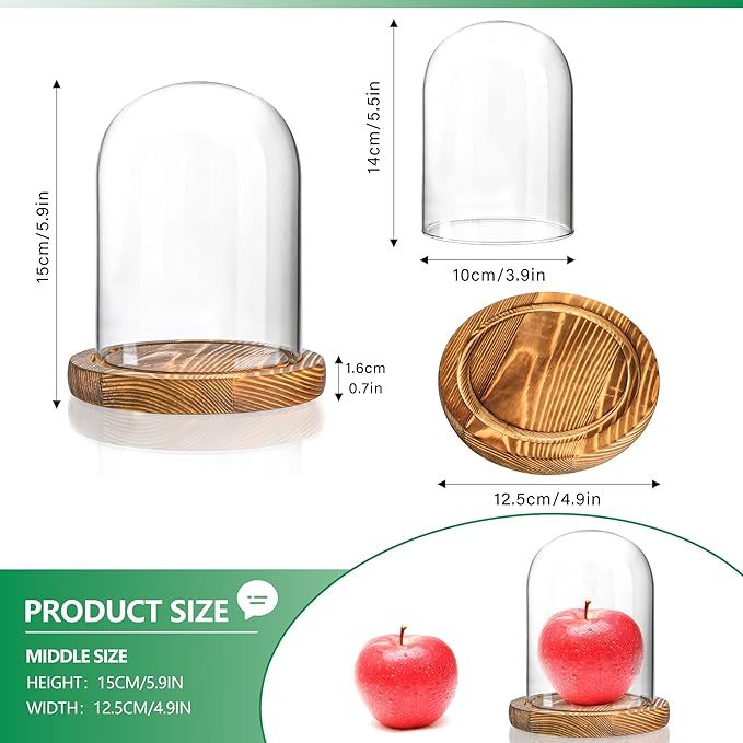 ZEERSHEE 5.5“ x 3.9“ Glass Display Dome Cloche with Wooden Base for Home Decoration