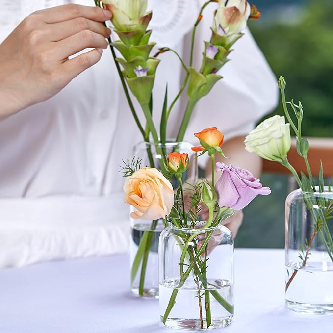 ZENS Bud Vases Set of 6, Modern Small Glasss Vase for Flower Clear Bud Vases in Bulk for Wedding Centerpiece, Blown Thicker Glass Small Vase for Flowers, Wedding Party Decorative, Home Bathroom Decor