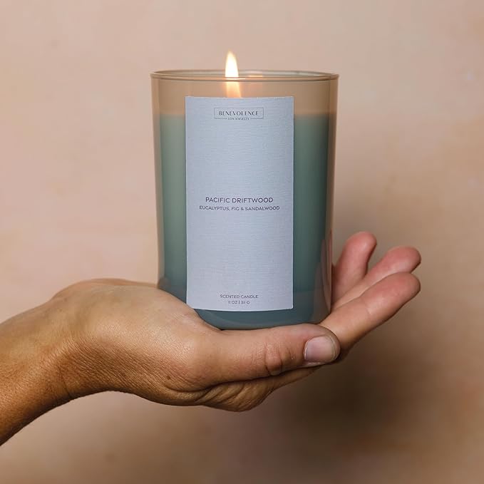 Eucalyptus Fig & Sandalwood Scented Candle | 11oz, 60 Hour Burn | Natural Soy Wax, Cotton Wick | Holiday Candles | Christmas Scented Candles for Home | Sun-Kissed Collection - Pacific Driftwood