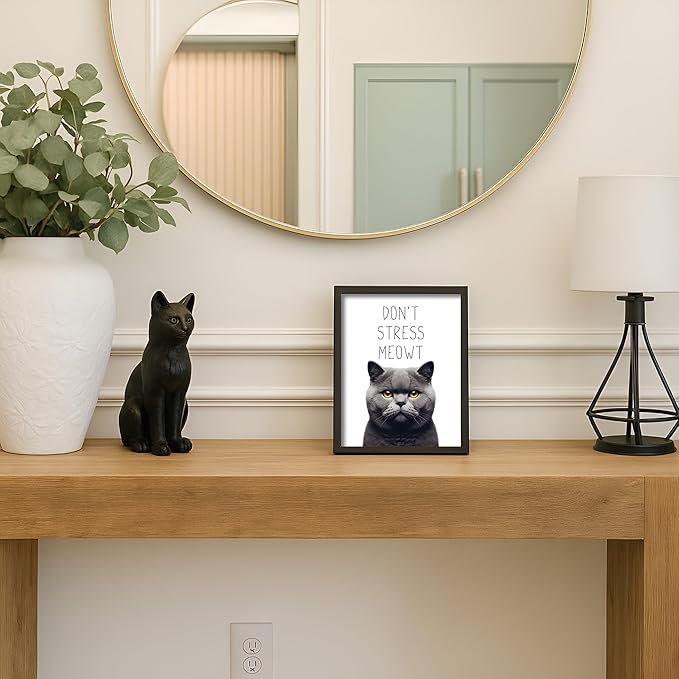 Posterizer 1 pcs - Don’t Stress Meowt - Funny Art for cat lovers - Comedy for Animal Lovers - Decor for Home & Office - 05x07 UNFRAMED Wall Art