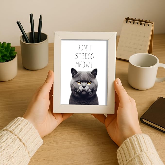 Posterizer 1 pcs - Don’t Stress Meowt - Funny Art for cat lovers - Comedy for Animal Lovers - Decor for Home & Office - 05x07 UNFRAMED Wall Art