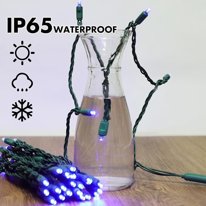 LAMPHOME 100Count (2pk of 50L) String Lights, LED Christmas Lights, 6" SPACING,Green Wire,Blue
