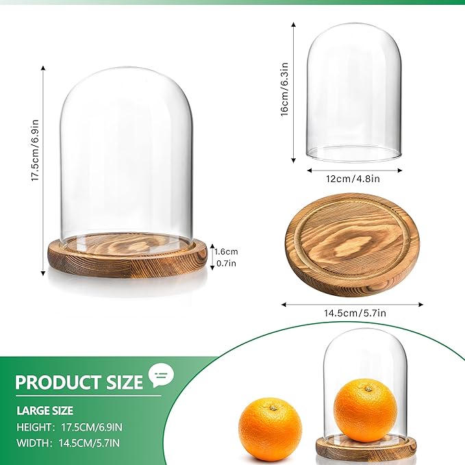 ZEERSHEE Glass Cloche Display Dome 6.3 x 4.8 inch Decorative Glass Display Bell Jar for Home Party Wedding Decor