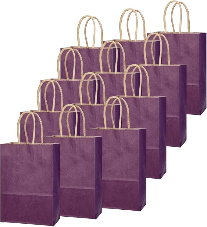 qiqee Aubergine Gift Bag with Handles Bulk 24Pcs Paper Bags -10.6"x8.3"x4.3"Party Favor Bags - Solid Color