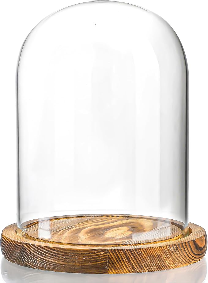 ZEERSHEE Glass Cloche Display Dome 6.3 x 4.8 inch Decorative Glass Display Bell Jar for Home Party Wedding Decor
