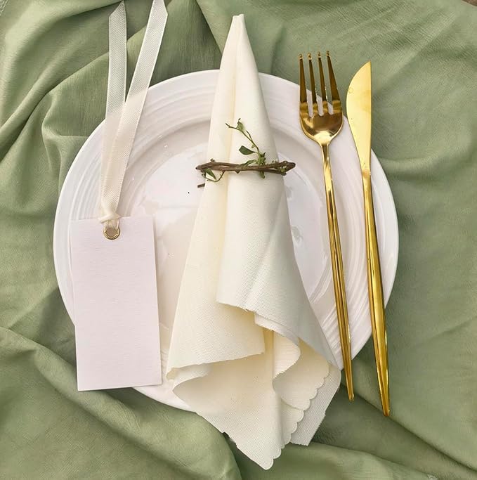 25 Pcs Name Place Cards Blank Seat Card, 2 x 4 in Table Cards with Stain Ribbon, Wedding Place Card, Hanging Tags for Wedding table Setting Reserved Chairs Signs Dinner Banquet Parties.(Beige)