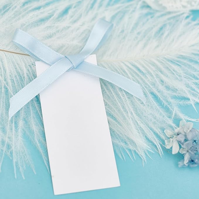 60pcs Wedding Banquet Place Cards for Table Setting.Name Table Cards .Name Cards with Ribbons. Can be Used for Wedding Banquet Table Decoration and Present Tags for Parties (Sky Blue)