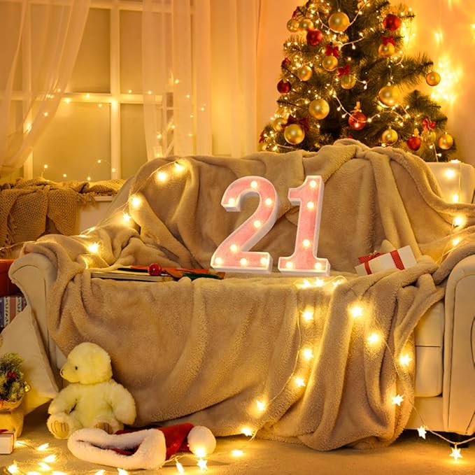 Marquee Numbers Light up LED, Pink Glitter Plastic for 21st Birthday, Graduation, Wedding, Birthday (Number 21)