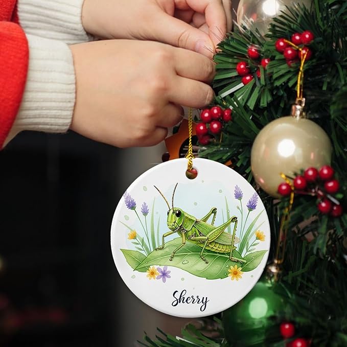 Grasshopper with Nature Ornament, Grasshopper Ceramic Ornament with Customized Name, Grasshoppers Lover Gifts, Grasshoppers Christmas Ornaments, Personalized Insect Lover Keepsake Decoration