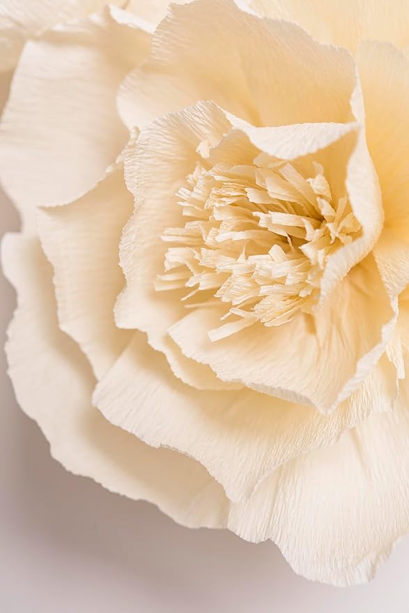 Crepe Paper Flowers Decoration for Wall, Flowers for Wedding Decor,Flower Backdrop Decor,Baby Shower,Birthday Party,Photo Backdrop,Archway Decor, Nursery Wall Decor(Beige,Set of 6)