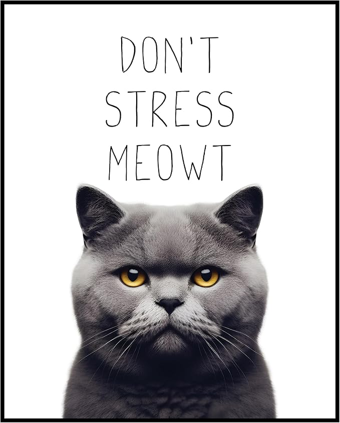 Posterizer 1 pcs - Don’t Stress Meowt - Funny Art for cat lovers - Comedy for Animal Lovers - Decor for Home & Office - 05x07 UNFRAMED Wall Art