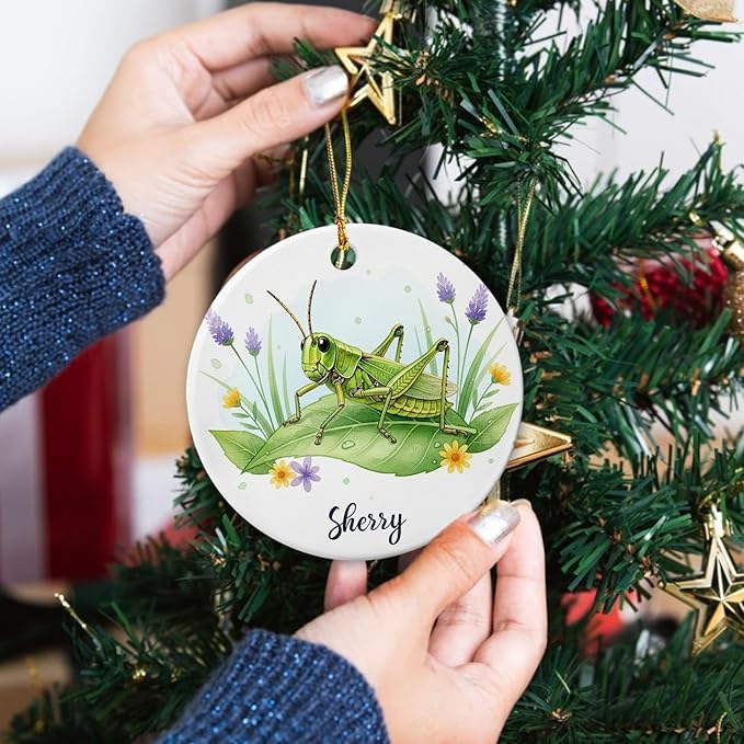 Grasshopper with Nature Ornament, Grasshopper Ceramic Ornament with Customized Name, Grasshoppers Lover Gifts, Grasshoppers Christmas Ornaments, Personalized Insect Lover Keepsake Decoration