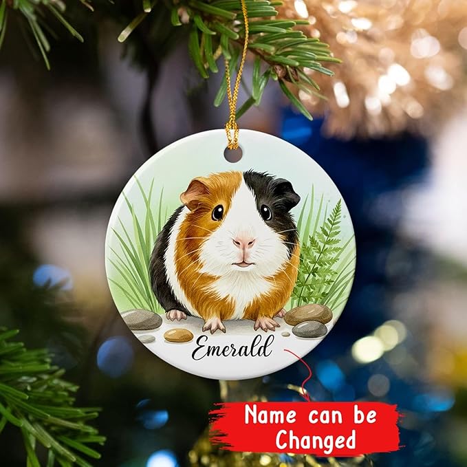 Cute Guinea Pig Christmas Ornament 2025, Personalized Choose Name Guinea Pig Lover Gift, Pet Animal Ceramic Ornament Gift for Boys Girls, Custom Animal with Nature Keepsake Ornaments, Xmas Tree Decor