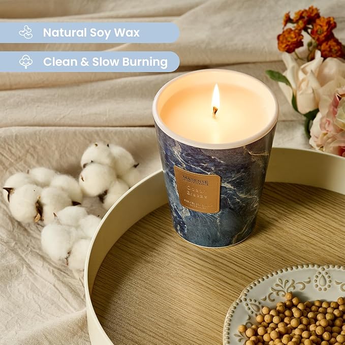 M&SENSE Ocean Breeze Scented Candles for Home, 3 Wick Highly Scented Jar Candle, 14.1 Oz 80H Long Lasting Burning Christmas Candle for Women, Aromatherapy Candles for Holiday Christmas Gift