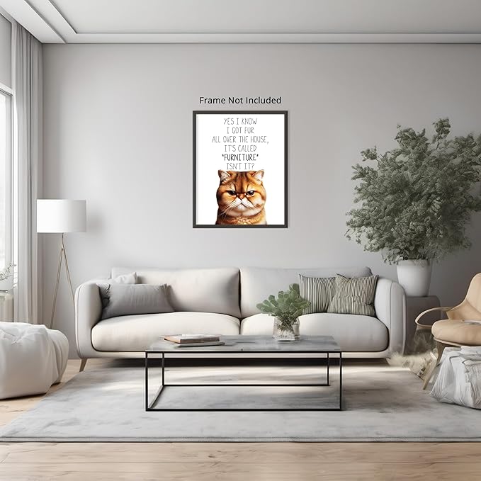 Posterizer 1 pcs - I Know I Got Fur All Over the House - for cat lovers - Comedy Art for Animal Lovers - Decor for Home & Office - 08x10 unframed wall