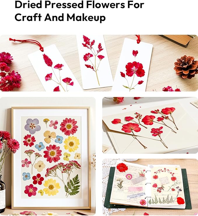 Dried Flowers, Resiners Pressed Flowers for Craft Real Natural Dried Flowers Kit for Scrapbook Supplies DIY Making Crafts Jewelry Resin Soap Candle Card Making (Cherry 174pcs)
