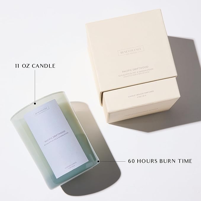 Eucalyptus Fig & Sandalwood Scented Candle | 11oz, 60 Hour Burn | Natural Soy Wax, Cotton Wick | Holiday Candles | Christmas Scented Candles for Home | Sun-Kissed Collection - Pacific Driftwood