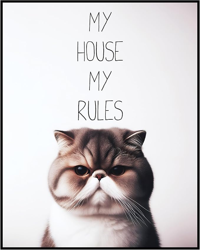 Posterizer 1 pcs - My House My Rules - Funny Art for cat lovers - Comedy Art for Animal Lovers - Decor for Home & Office - 08x10 unframed wall