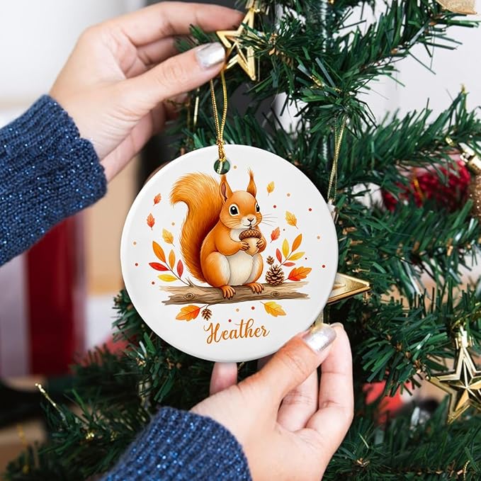 Customized Name Squirrel Christmas Holiday Ornament, Squirrels Keepsake Gift for Boy Girl Kids Children, Baby Squirrel Ornament Xmas Tree, Personalized Wild Animal Ceramic Ornaments, Squirrels Decor