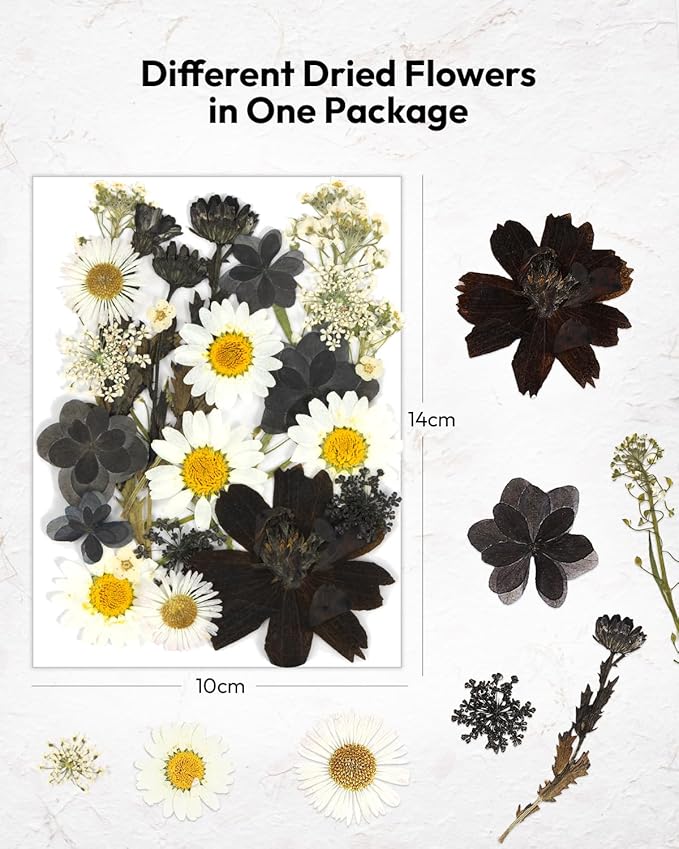 Dried Flowers, Resiners Pressed Flowers for Craft Real Natural Dried Flowers Kit for Scrapbook Supplies DIY Making Crafts Jewelry Resin Soap Candle Card Making (Nightfall 100pcs)