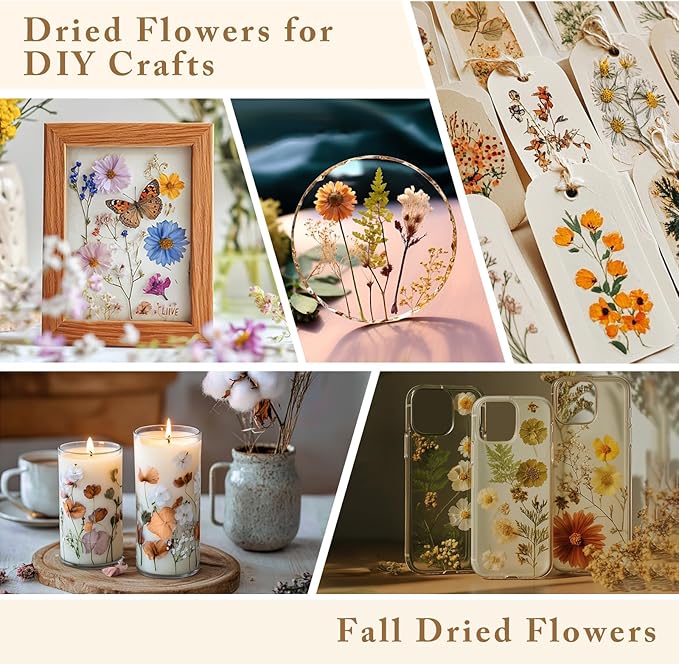 DALARAN 85Pcs White Dried Pressed Flowers for Resin Molds Real Pressed Flowers Dry Leaves Kit for Art Crafts Resin Jewelry Making Scrapbook Supplies Card Making Soap Candle DIY