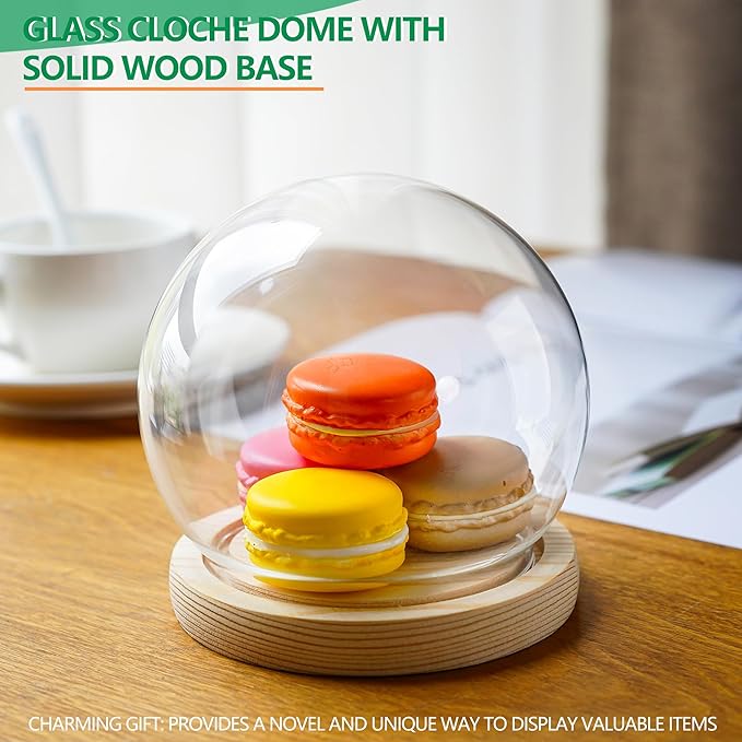 ZEERSHEE Round Glass Display Dome Cloche with Wooden Base for Home Decoration Diameter 4.7 Inches