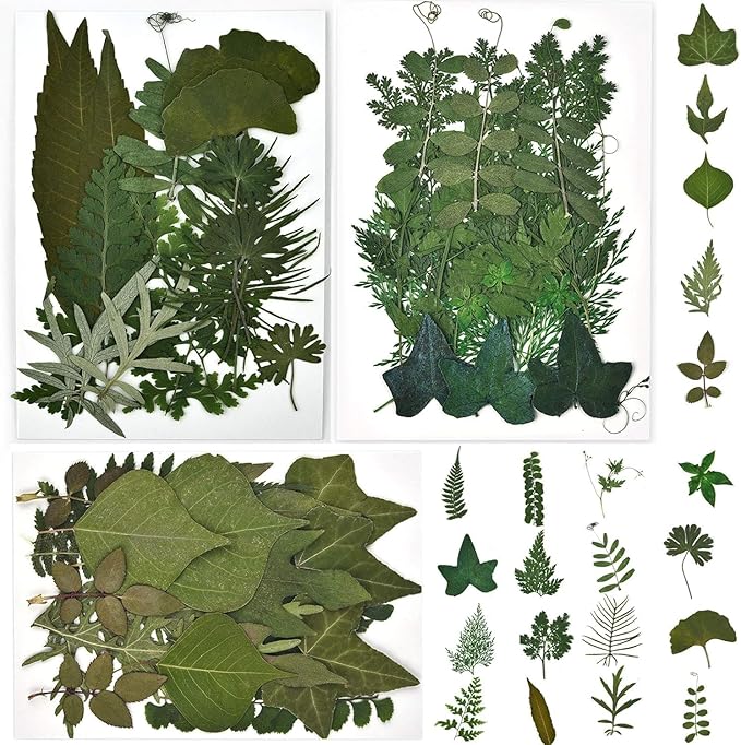 DALARAN 63 PCS Natural Dried Leaves Pressed Leaves Dried Pressed Flowers for Crafts Soap Making Candle Making and Resin Jewelry Making Pressed Flower Art Floral Decors