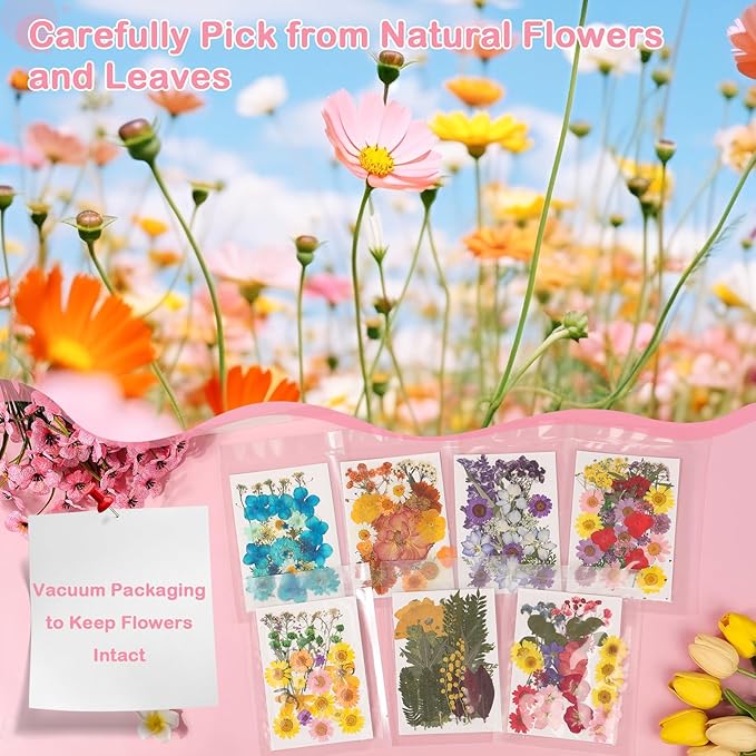 231 PCS Pressed Flowers Bulk for Resin Crafts, Dried Pressed Flowers Butterfly Stickers with Tweezers Real Natural Dry Wildflowers for Resin Molds DIY Art Candle Phone Cases Bookmark Jewelry Making