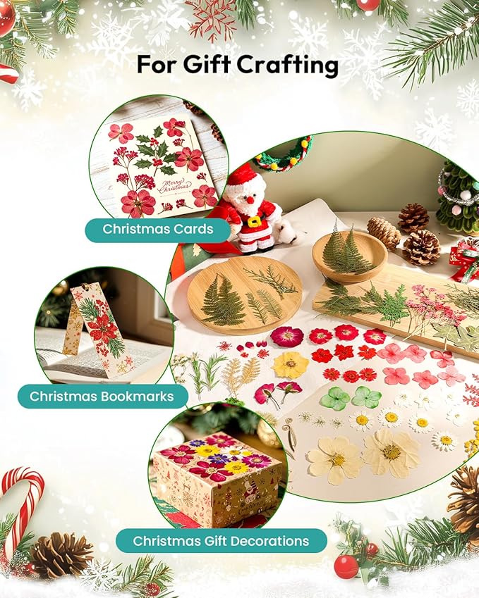 Dried Flowers, Resiners 6 Pack Pressed Flowers for Christmas Craft 100% Real Natural Dried Flowers Kits for Christmas DIY Making Crafts Resin Soap Candle Making Jewelry Scrapbook Supplies Card